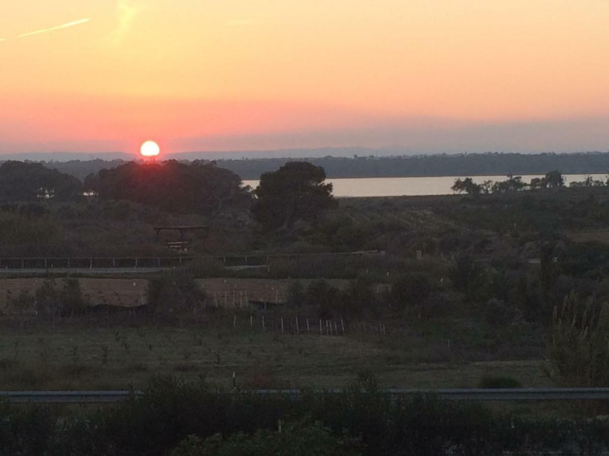 Apartament Sunset La Mata La Mata  Zewnętrze zdjęcie